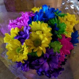 Meet your Posher, Joanne